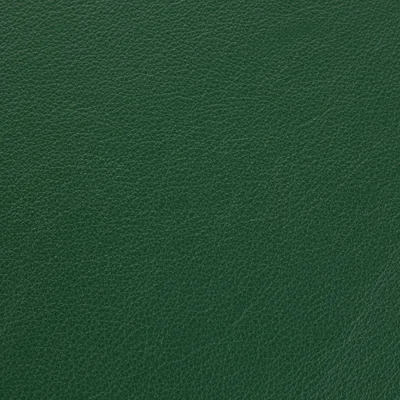 Vele Bottle Green swatch