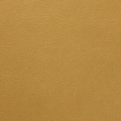 Vele Metallic Gold — Vele swatch, view 1