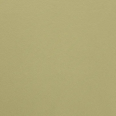 Vele Pistacchio — Vele swatch, view 1