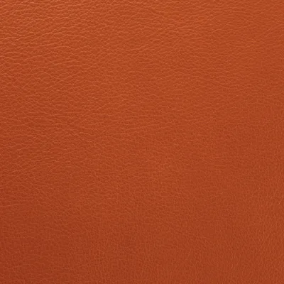 Vele Tan — Vele swatch, view 1