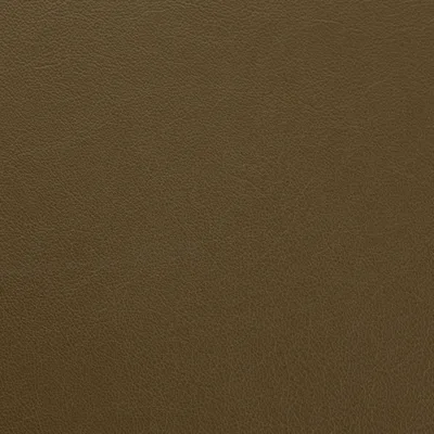 Vele Terrapin — Vele swatch, view 1
