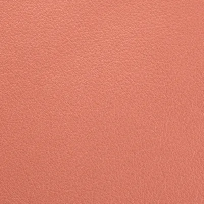 Vele Visage — Vele swatch, view 1
