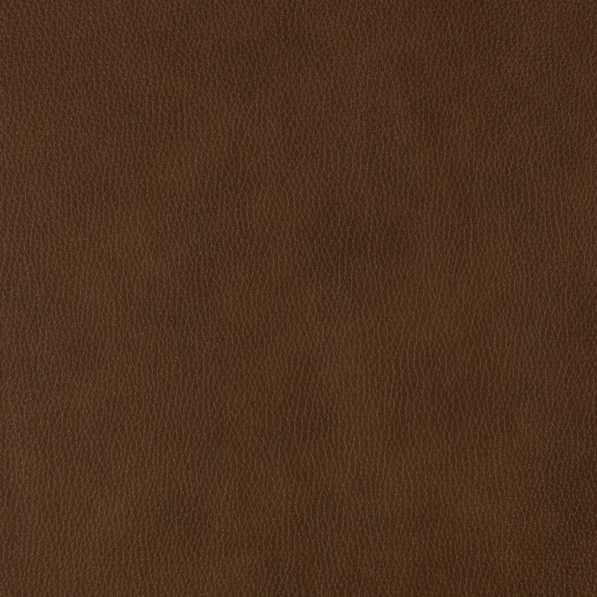 Williamsburg Butterscotch swatch
