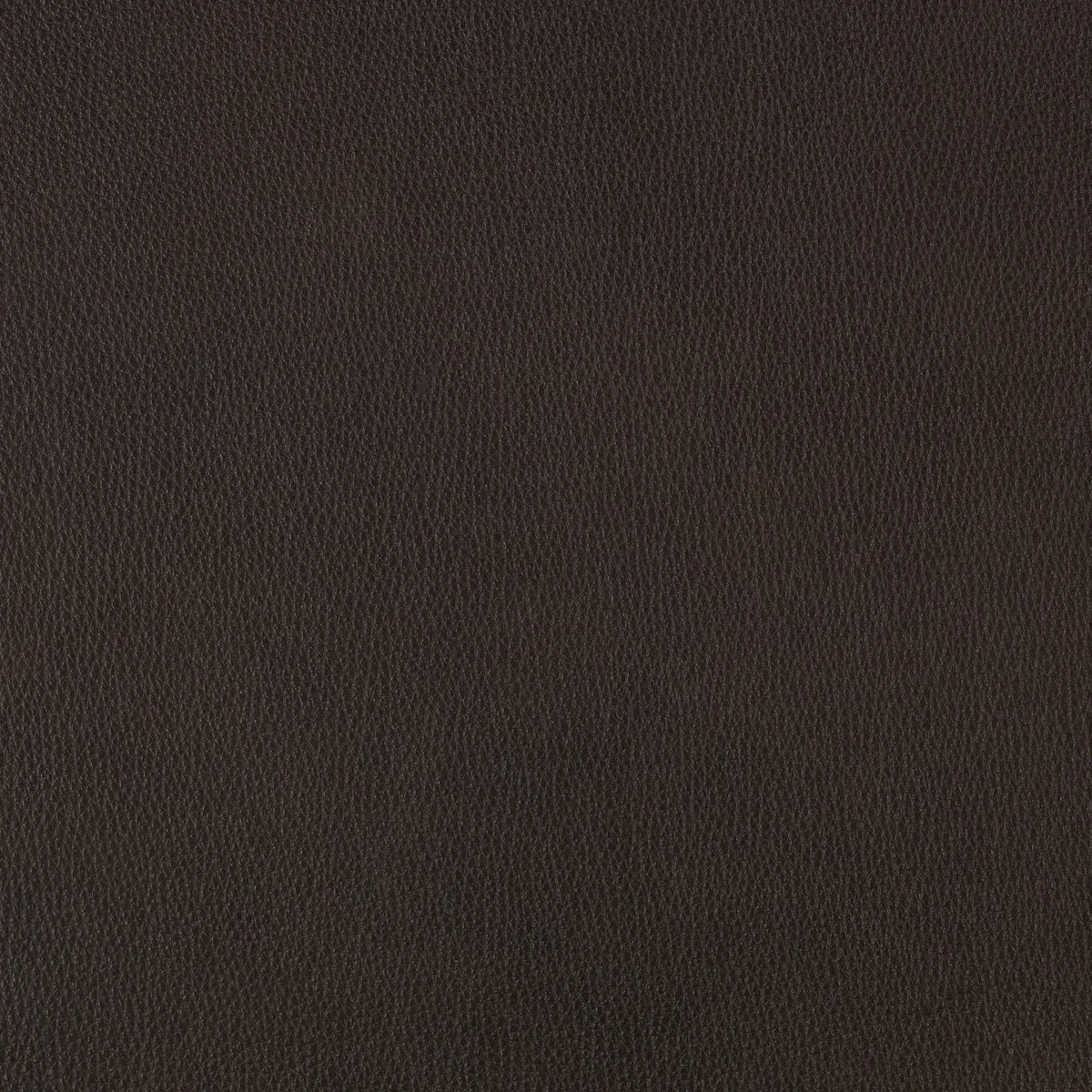 Williamsburg Dark Roast swatch