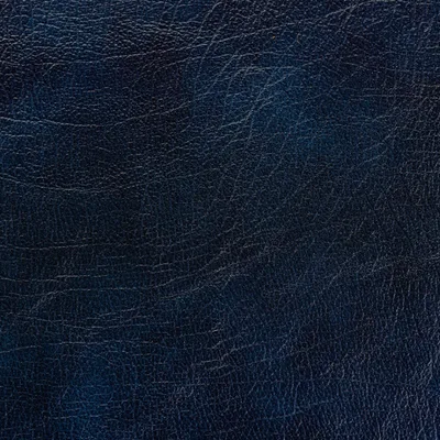 Windsor Blue swatch