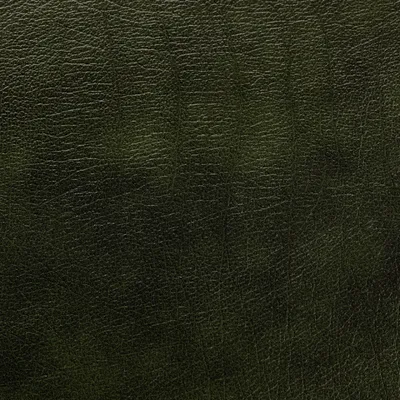 Windsor Green swatch