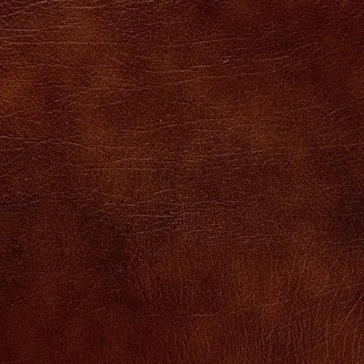 Windsor Tan — Windsor swatch, view 1