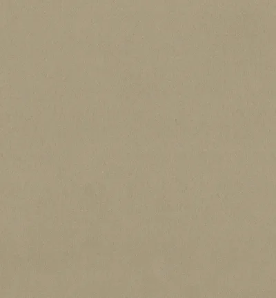 DREAM FAUX SUEDE STETSON swatch