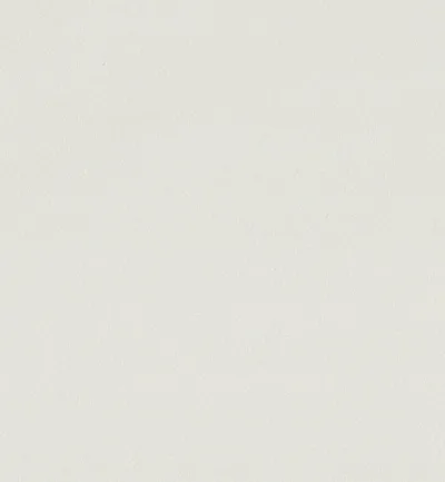 ENDURO BIANCO swatch