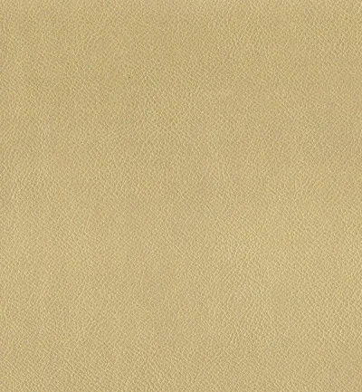 ENDURO BRONZE swatch