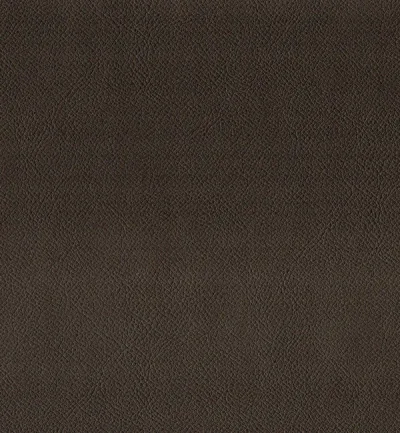 ENDURO CARAMEL swatch