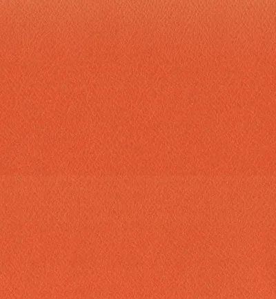 ENDURO TANGERINE — Enduro swatch