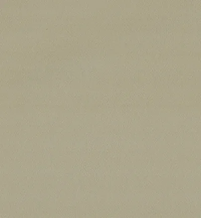 ENDURO VANILLA swatch