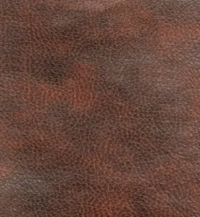 MEMPHIS CONKER swatch