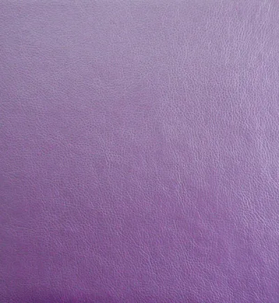 MEMPHIS PLUM — Memphis swatch