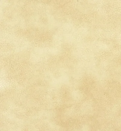 MEMPHIS VANILLA swatch