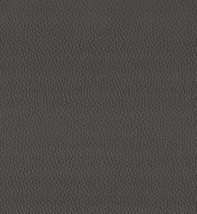 TORO CHOCOLATE swatch