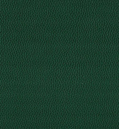 TORO FOREST — Toro swatch