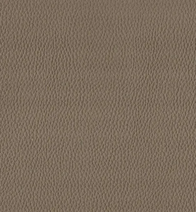 TORO TRUFFLE — Toro swatch