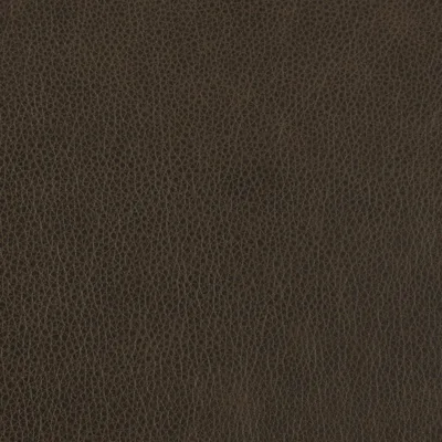 Altara Chocolate swatch