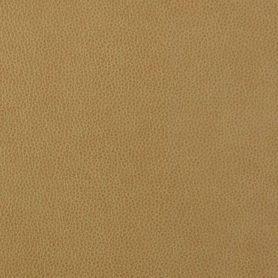 Altara Desert swatch