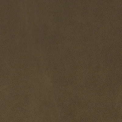 Altara Mushroom swatch