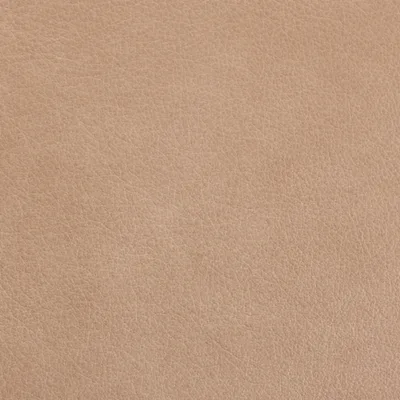 Austen Alabaster — Austen swatch