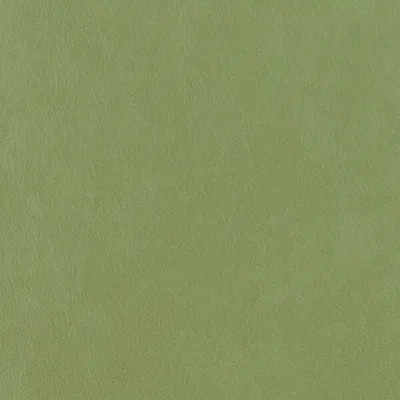 Austen Aloe — Austen swatch