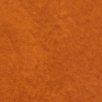 Austen Bourbon — Austen swatch