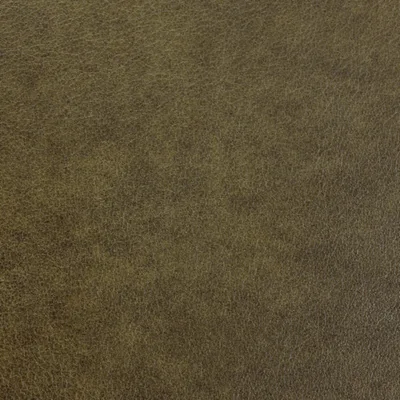 Austen Congo — Austen swatch