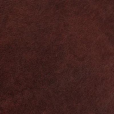 Austen Driftwood — Austen swatch