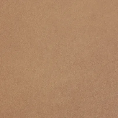 Austen Fawn — Austen swatch