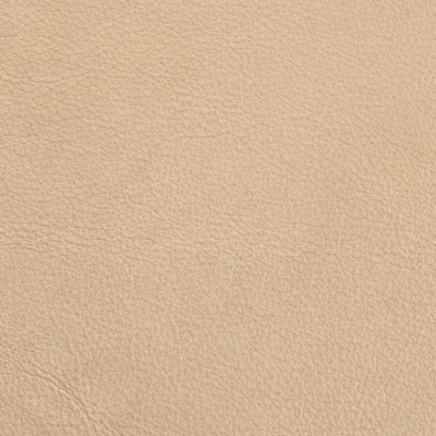 Austen Lace — Austen swatch