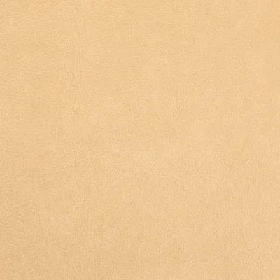 Austen Limestone swatch