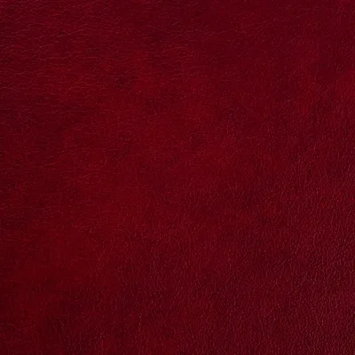 Austen Malbec swatch