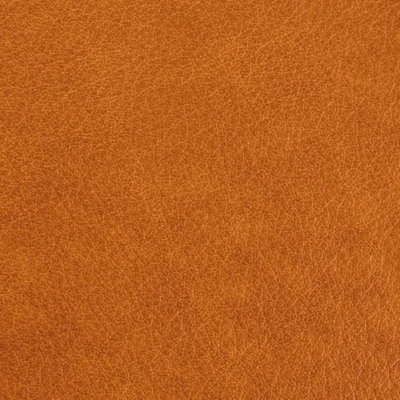 Austen Ochre swatch