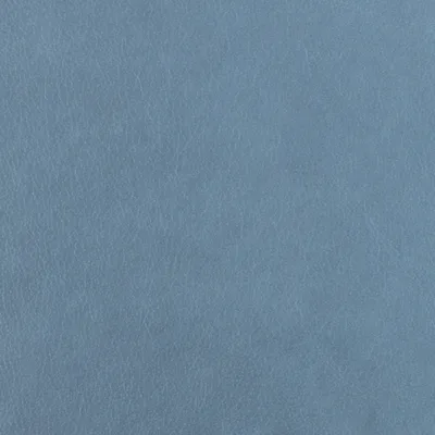 Austen Shark Skin swatch