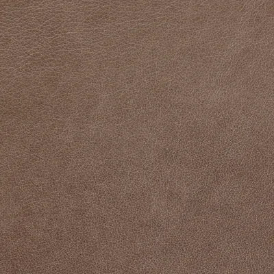 Austen Thunder — Austen swatch