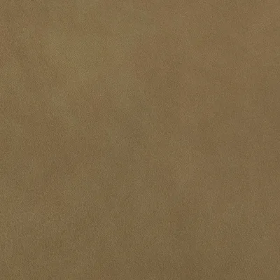 Blake Butterscotch — Blake swatch