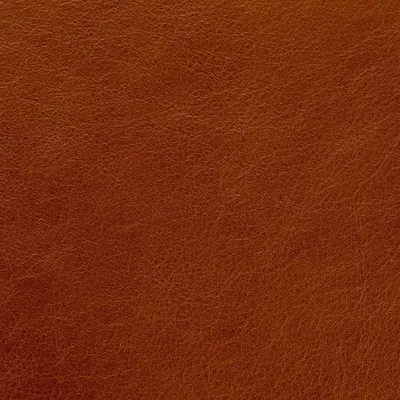 Blake Clay — Blake swatch