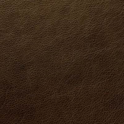 Blake Ivy — Blake swatch