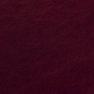 Blake Paprika swatch