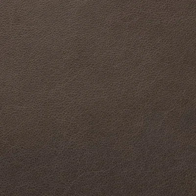 Blake Pebbles swatch