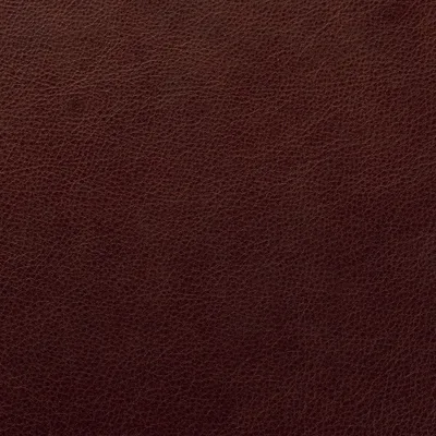 Blake Praline swatch