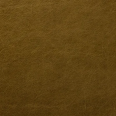 Blake Tarragon swatch