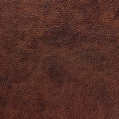 Bronx Cumin Seed swatch