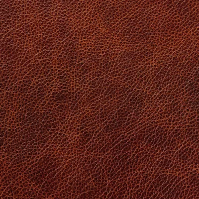 Bronx It Sir Edmund swatch