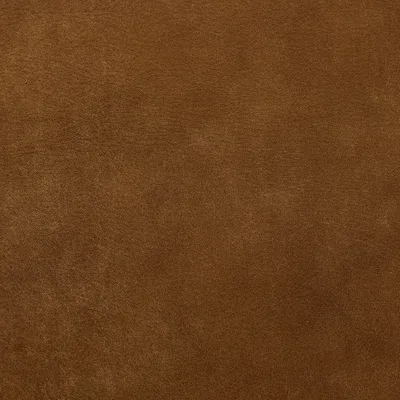 Brunel Light Tan swatch