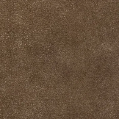 Brunel Oyster swatch