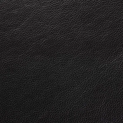 Cambridge Anthractie — Cambridge swatch